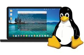 Belajar Asas Linux