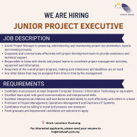 Junior Project Executive