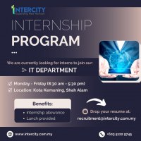 IT INTERN